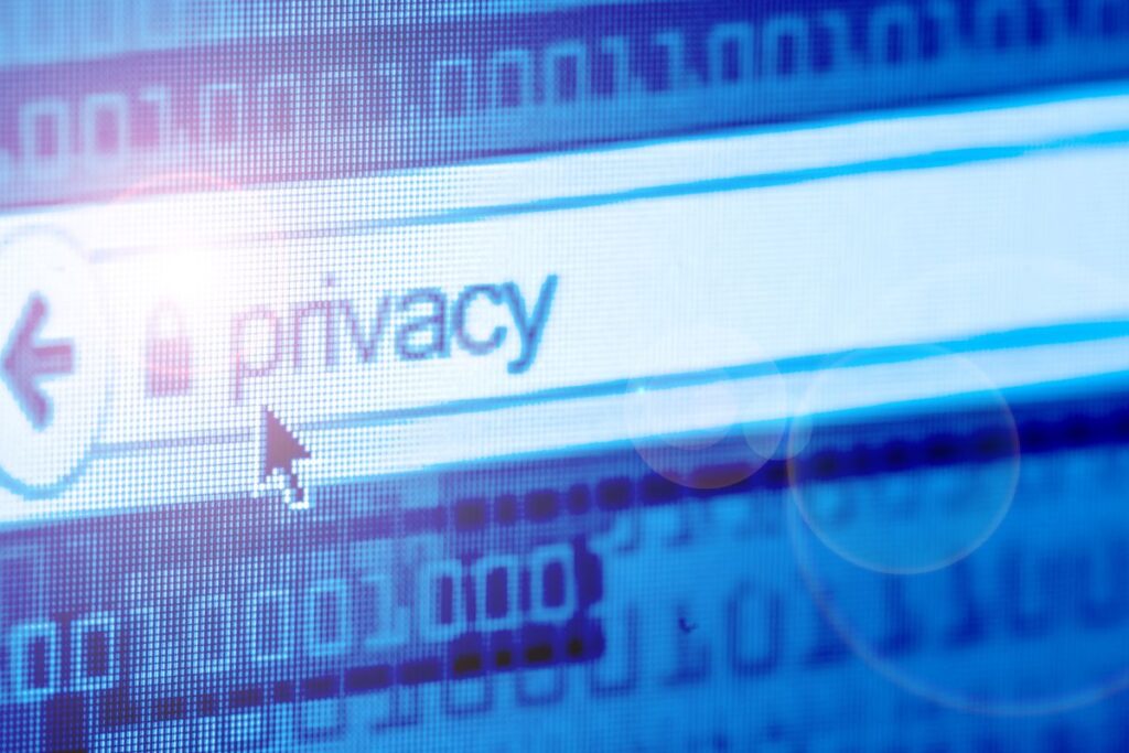 Uma tela de computador com um navegador exibindo a palavra "privacy" na barra de busca, acompanhada de um ícone de cadeado e um cursor.